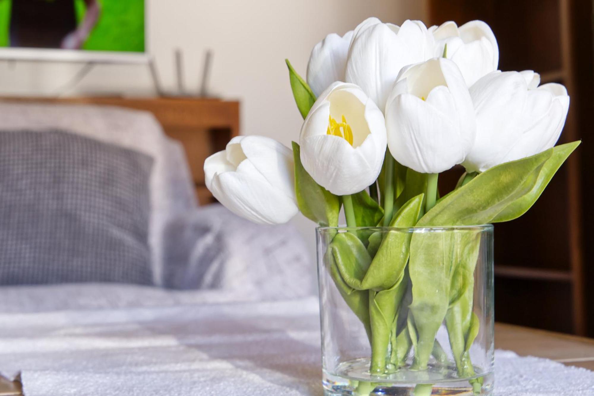 Castle Way Apartments Tamy بليد المظهر الخارجي الصورة